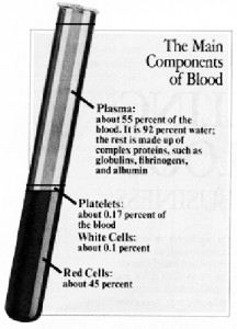 This illustration is taken from the October 22, 1990 issue of Awake! You will note that plasma constitutes 55% of the blood. Since the Watchtower Society allows Witnesses to accept the separate components of plasma, it is only reasonable to ask why they forbid the use of plasma itself?